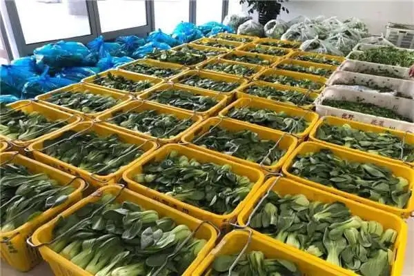 深圳食堂食材配送告訴你如何打開蔬菜配送這個(gè)行業(yè)的市場(chǎng)?
