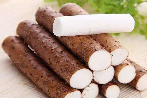龍崗蔬菜配送公司淺談夏季怎么養(yǎng)腸胃